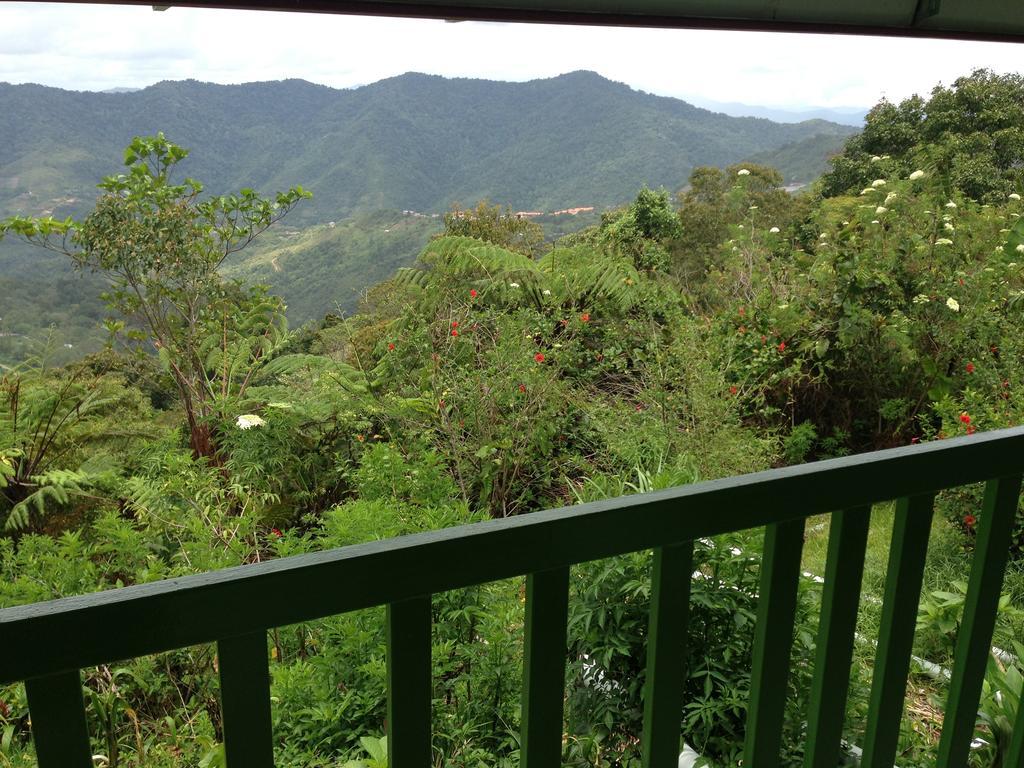 D'Villa Rina Ria Lodge, Kinabalu Park, Kundasang Bundu Tuhan Kültér fotó