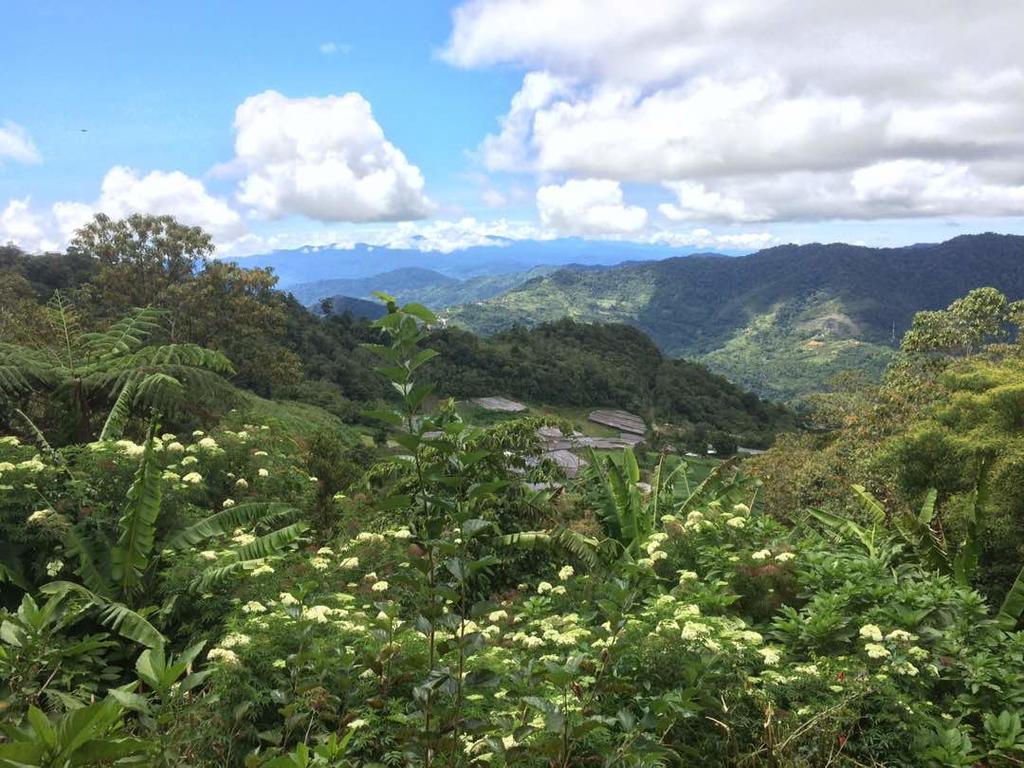 D'Villa Rina Ria Lodge, Kinabalu Park, Kundasang Bundu Tuhan Kültér fotó